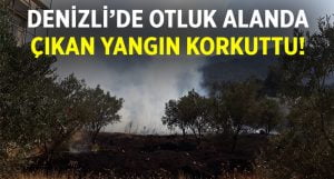 Denizli’de yangın korkuttu!