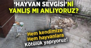 Hayvan Sevgisi’ni yanlış mı anlıyoruz?