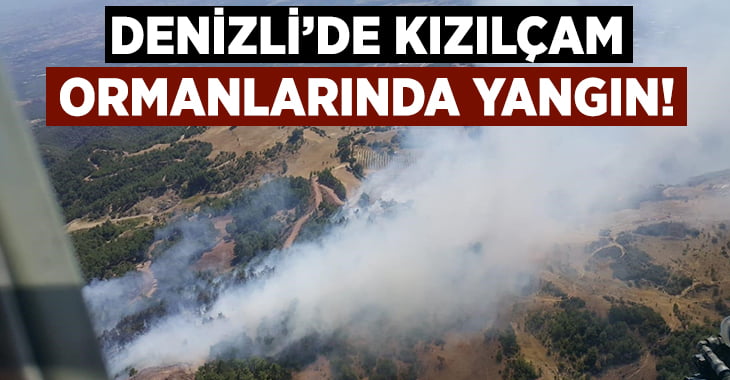 Denizli’de kızılçam ormanlarında yangın