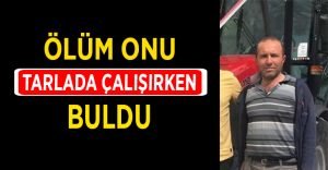 Ölüm onu tarlada çalışırken yakaladı