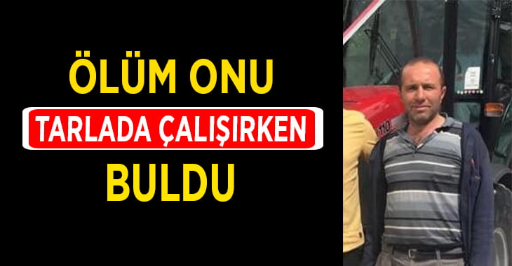 Ölüm onu tarlada çalışırken yakaladı