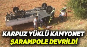 Kamyonet şarampole devrildi