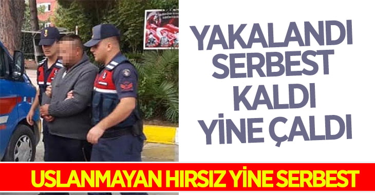 Serbest kaldı hırsızlık yaptı… Yine serbest