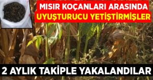 Denizli uyuşturucu operasyonu: 2 tutuklama