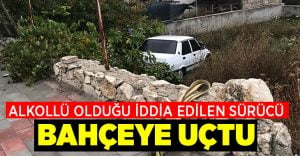 Alkollü olduğu iddia edilen sürücü bahçeye uçtu