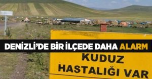 Denizli’de bir kuduz alarmı daha