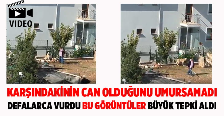 Denizli’de hayvana şiddet uygulayan şahıs kaydedildi