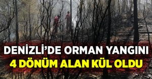 Denizli’de orman yangınında 4 dönüm kül oldu