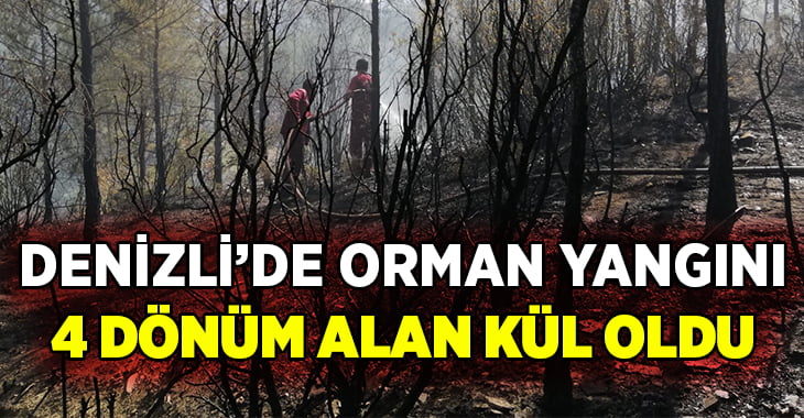 Denizli’de orman yangınında 4 dönüm kül oldu