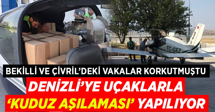 Denizli’ye uçaklarla kuduz aşılaması yapılıyor