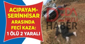 Acıpayam-Serinhisar arasında feci kaza: 1 ölü 2 yaralı