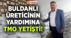 Buldan’da kuru üzüm üreticilerinin imdadına TMO yetişti