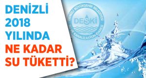 Denizli 2018 yılında ne kadar su tüketti?