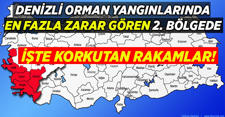 Denizli, orman yangınlarından en fazla zarar gören ikinci bölgede yer alıyor