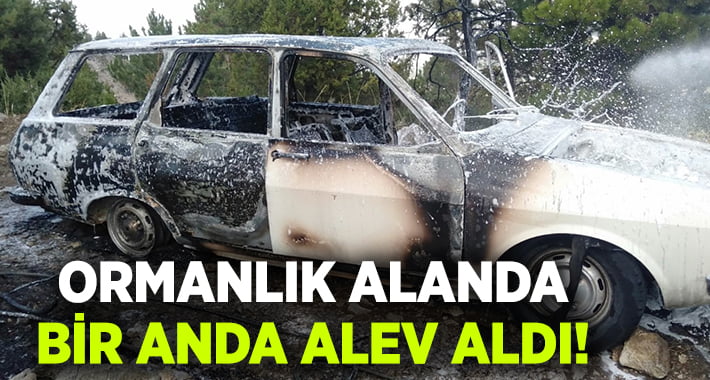 Otomobil ormanlık alanda alev aldı!