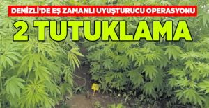 Denizli’de uyuşturucu operasyonu, esrar ve kenevir ele geçirildi