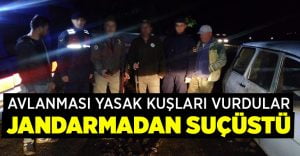 Avlanması yasak kuşları vuran 2 kişiye jandarmadan suçüstü