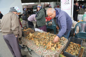 Çıntar fiyatları düştü