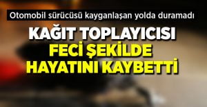 Kağıt toplayıcısı feci kazada can verdi