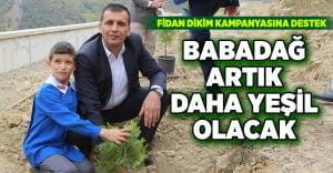 Babadağ artık daha yeşil olacak