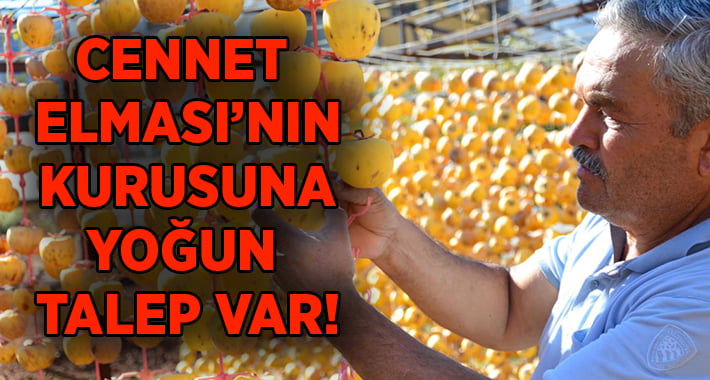 Denizli’nin Yükselen Değeri: Cennet Elması