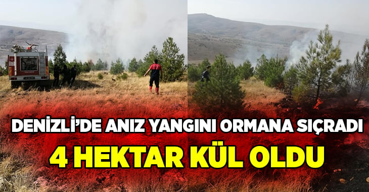 Denizli’de anız yangınında alevler ormanlık alana sıçradı