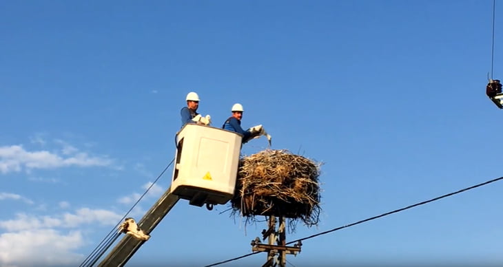 Enerji çalışanları haftası başladı!