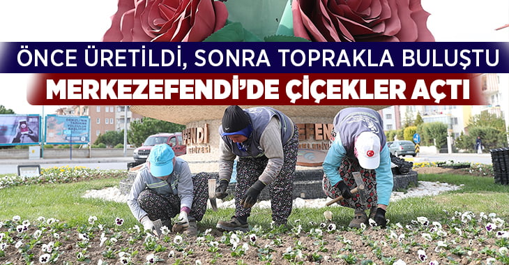 Merkezefendi Belediyesi’nin ürettiği çiçekler toprakla buluştu…