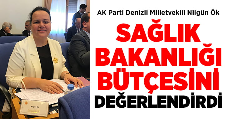 Nilgün Ök, Sağlık Bakanlığı bütçesini değerlendirdi