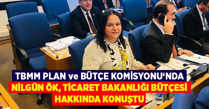 Nilgün Ök, Ticaret Bakanlığı bütçesi hakkında konuştu