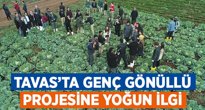 Tavas Genç Gönüllü Projesine Yoğun İlgi Gösterdi