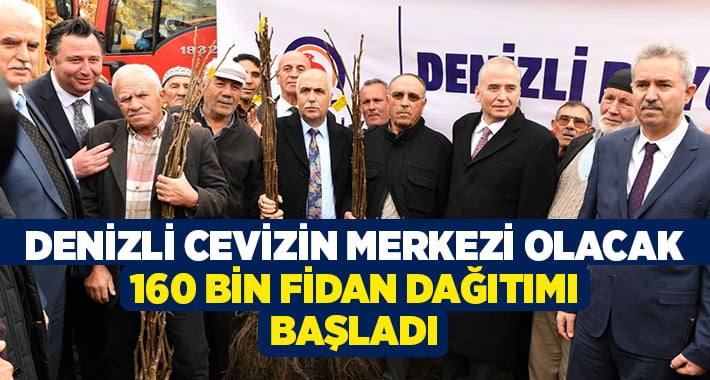 Denizli cevizin merkezi olacak, 160 bin fidan dağıtımı başladı