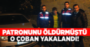 Patronunu öldürdükten sonra kaçan çoban yakalandı