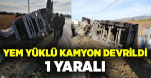 Yem yüklü kamyon devrildi: 1 yaralı