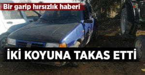 Çaldığı otomobili iki koyuna takas etti