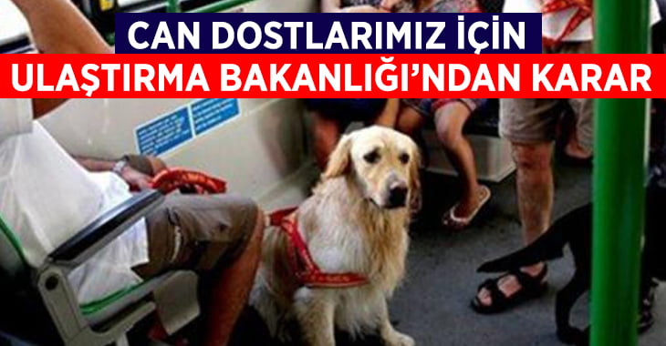 Can dostlarımız için Ulaştırma Bakanlığı’ndan karar