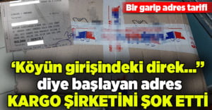 Kargo paketindeki adres görevlileri ‘şok’ etti