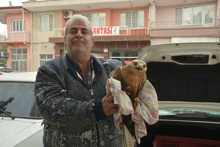 Yaralı şahine bir gün boyunca gözü gibi baktı