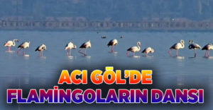 “Acıgöl” kendine hayran bırakıyor