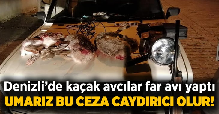 Kaçak avcılar yakalandı, cezayı yedi