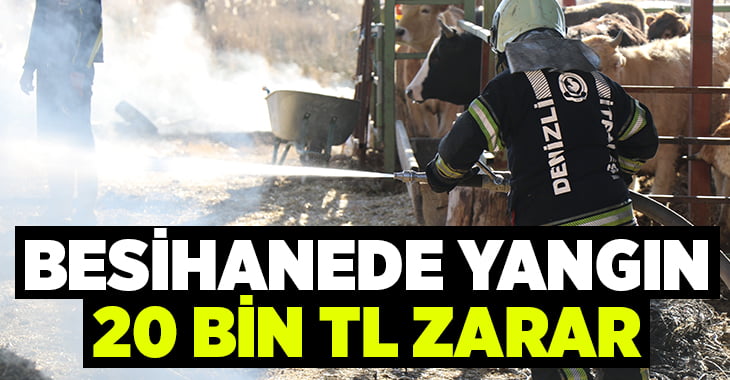 Denizli’de besihanede yangın, 20 bin TL zarar getirdi