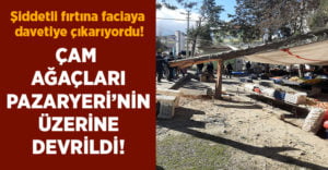 10’a yakın çam ağacı pazaryerinin üzerine devrildi!