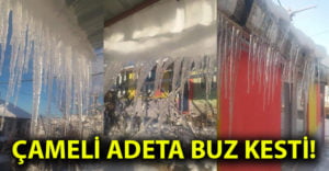 Çameli adeta buz tuttu!