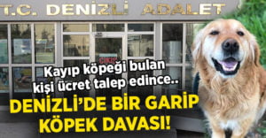 Kayıp köpeği sahibine teslim etmek için 800 lira para istedi! Nedeni ise..