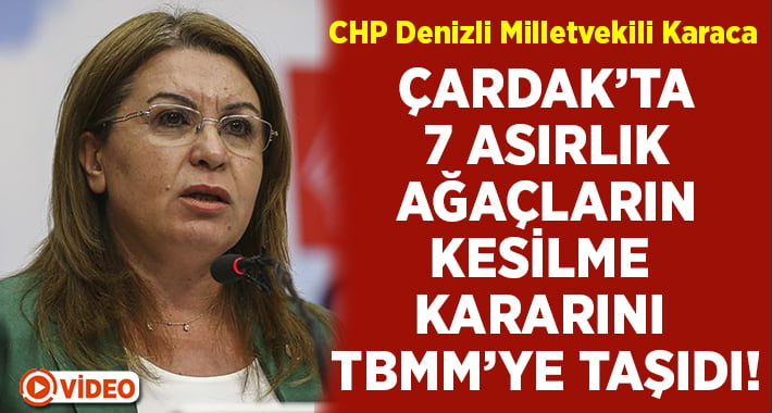 Gülizar Biçer Karaca Çardak’ta 700 yıllık ağaçların  kesilmesi kararını TBMM’ye taşıdı!