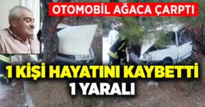 Denizli’de otomobil ağaca çarptı: 1 ölü, 1 yaralı