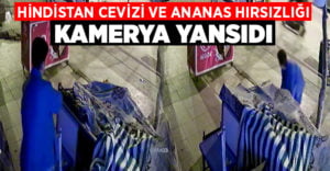 Motosikletle gelip Hindistan cevizi ve ananası böyle çaldılar