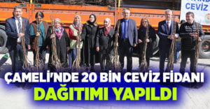 Çameli’nde 20 bin ceviz fidanı dağıtımı yapıldı