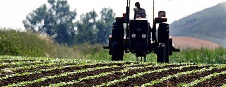 Bakan Pakdemirli açıkladı, sokağa çıkma yasağından muaf edildiler