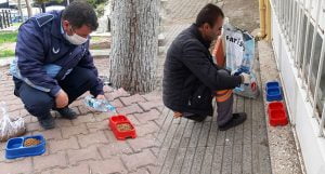 Çal’da can dostlar için gerekli önlemler alındı